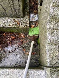 外柵周り清掃の様子 （Before）